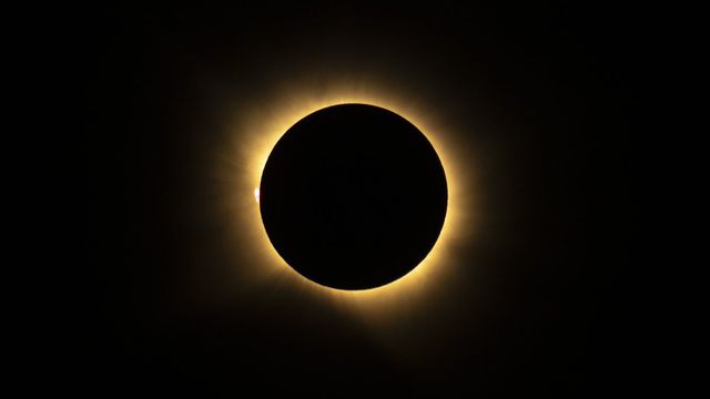 The black disk of the Moon covering the Sun during totality, ringed by the Sun's pale golden corona, with a small pink prominence at its left edge