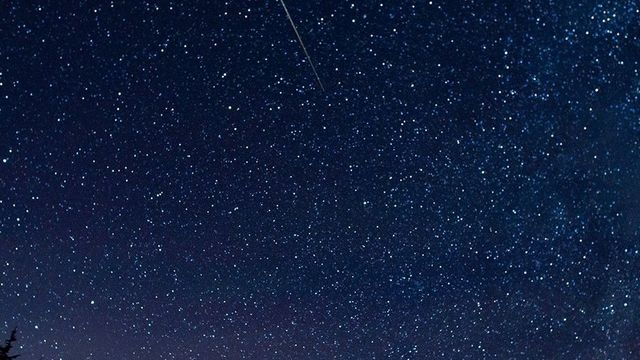 A meteor streaking across a starry sky above silhouetted trees during the Perseid meteor shower