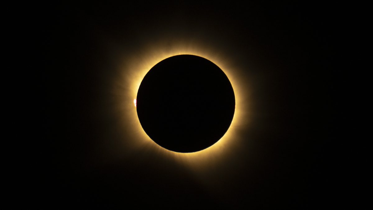 The black disk of the Moon covering the Sun during totality, ringed by the Sun's pale golden corona, with a small pink prominence at its left edge