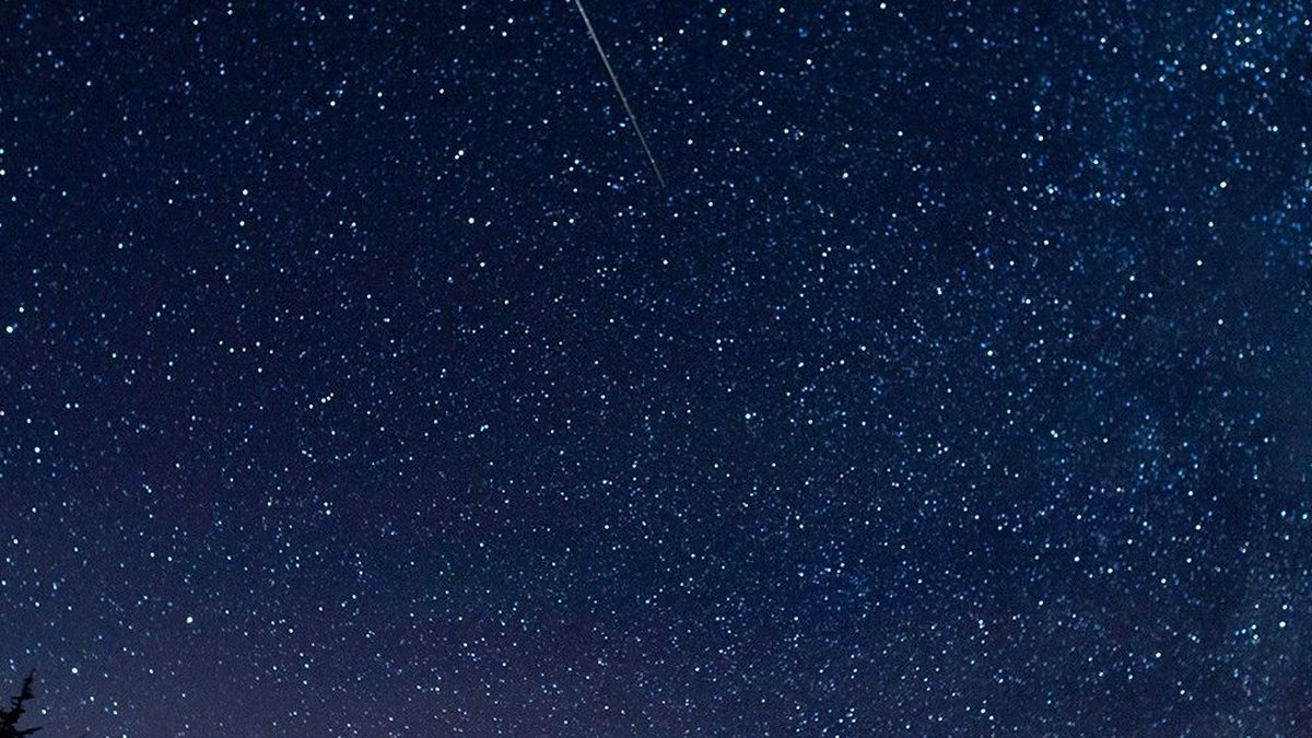 A meteor streaking across a starry sky above silhouetted trees during the Perseid meteor shower